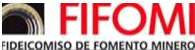 fifomi